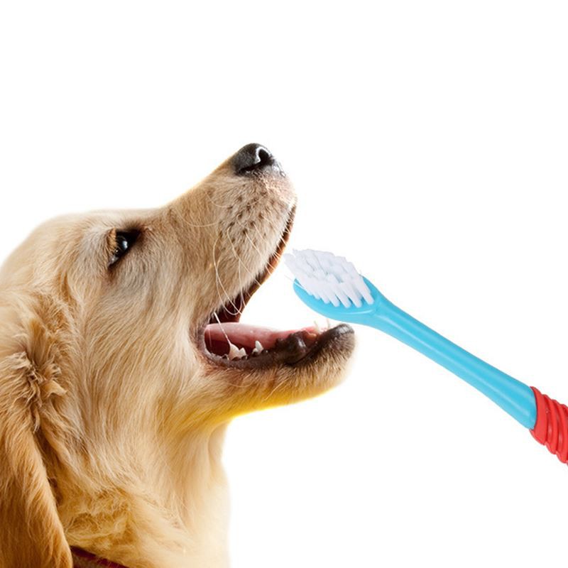 Zubná kefka pre domáce zvieratá